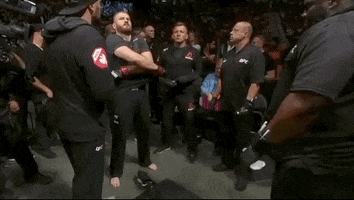 ufc 239 sport GIF by UFC