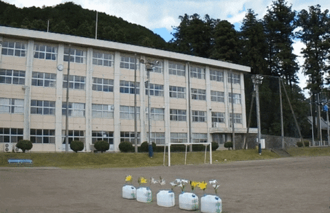 cristian-rus giphyupload GIF