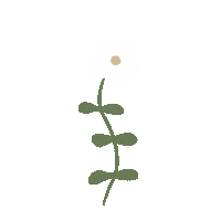 Summer Love Sticker by ohui.official