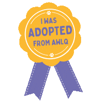 awlqld adopt dont shop awl adopted dog adopted cat Sticker