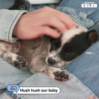 Hush Hush Puppy