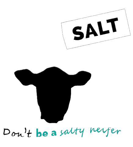 Cow Angus GIF by Ash Valley Designs