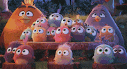 sony pictures trailer GIF by Angry Birds
