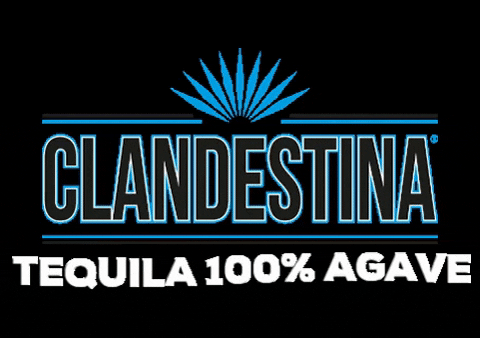 tequilaclandestina giphyupload tequila agave clandestina GIF