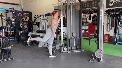 megsquats giphyupload GIF