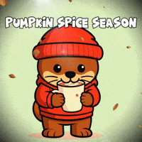 Fall Autumn GIF by Built Daily