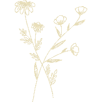 Flowers Boho Sticker