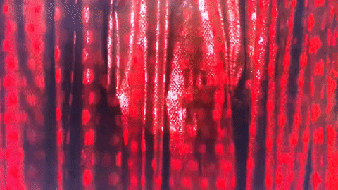 tatjana simic flodder GIF