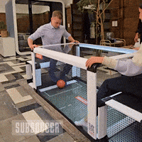 Goal Victory GIF by Subsoccer