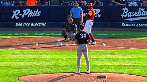 tesstass giphyupload GIF