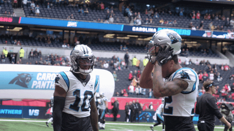Nfl GIF by Carolina Panthers