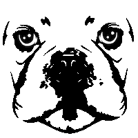 New York City Nyc Sticker by Ben Goldsmith