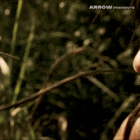 Texas Chainsaw Massacre Film GIF by Arrow Video