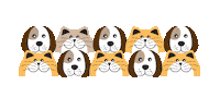 Valmo animals cats gatos perros Sticker