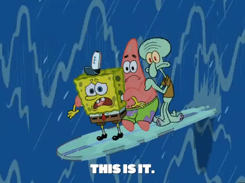 season 6 GIF by SpongeBob SquarePants