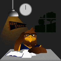 Studying Kent State GIF by Kent State University
