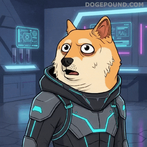Uh Oh Wow GIF by Doge Pound