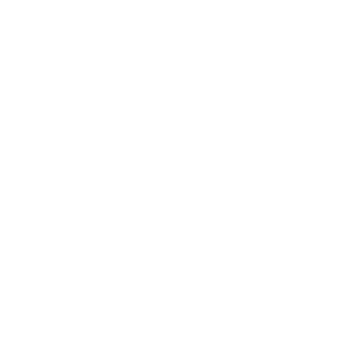 BruisendNijverdal giphyupload nijverdal bruisend bruisendnijverdal Sticker