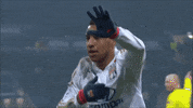 football lyon GIF by Olympique Lyonnais