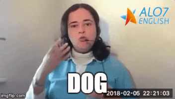 dog total physical response GIF by ALO7.com
