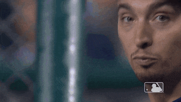 Regular Season Sport GIF by MLB