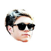 niall horan 1d STICKER by imoji
