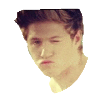 niall horan flirting STICKER by imoji