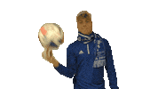 Football Soccer Sticker by FortunaUnterhaching