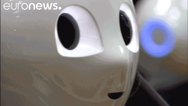 euronews giphyupload japan robot pepper euronews GIF
