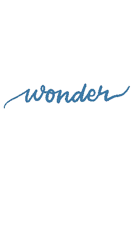 Shawn Mendes Calligraphy Sticker