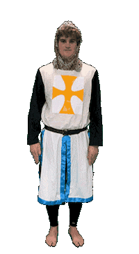 Dance Move Sticker by Samford University