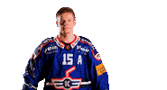 Celebration Goal Sticker by EHC Kloten