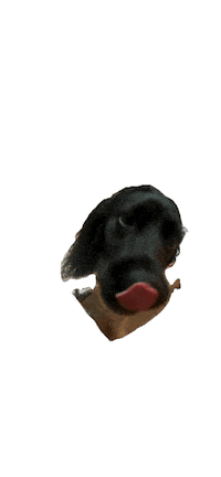 Parker Sticker by lyallpenleyphotos