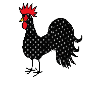 Rooster Hahn Sticker