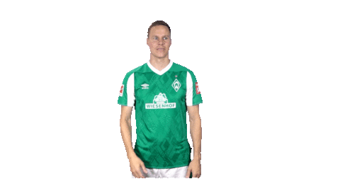 Niklas Moisander Bundesliga Sticker by SV Werder Bremen