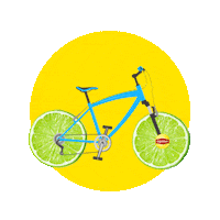 LiptonBrazil te lipton te helado stickerlipton Sticker