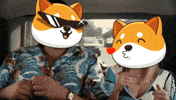 Money Crypto GIF by Baby Doge Coin