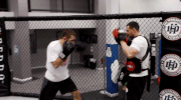 episode 2 tom gallicchio GIF