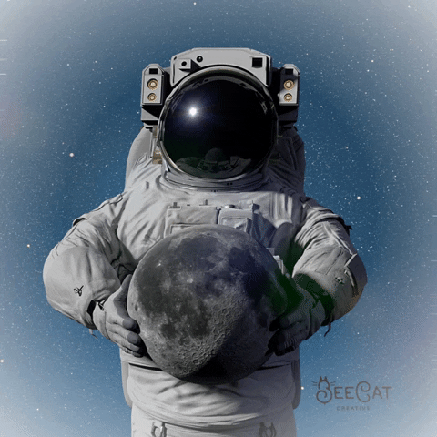 Space Moon GIF by BeeCat Creative