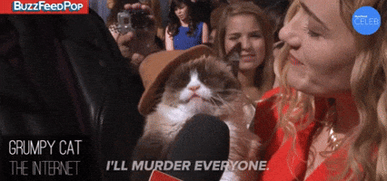 Grumpy Cat - I'll Murder Everyone