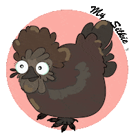 Chickens_gang love chickens poule chickensgang Sticker