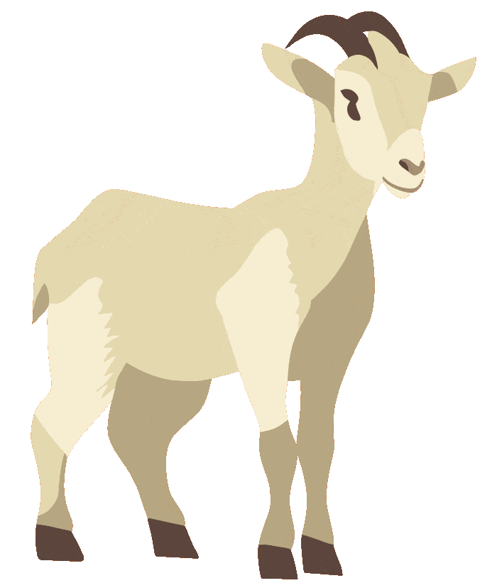 Goat Ehre Sticker by Deutsche Welthungerhilfe e.V.