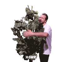 Tree Love Sticker by SWR3