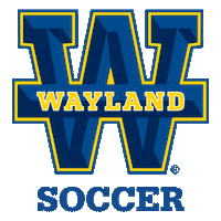 College Gameday Soccer Sticker by Wayland Baptist University