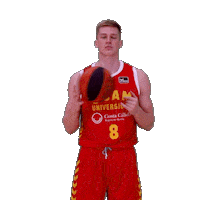 Liga Endesa Basketball Sticker by ACB