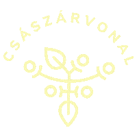 Csection Sticker by Császárvonal