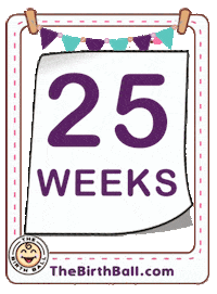 Ultrasound Expecting Sticker by The Birth Ball