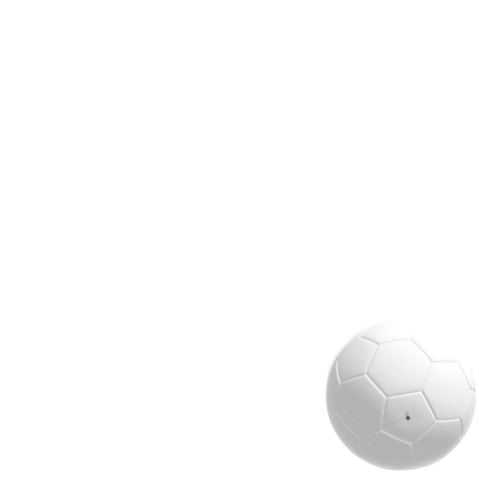 Futbol Ball Sticker by Sprinter