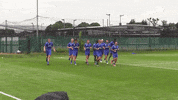 dance dab GIF by Portsmouth Football Club