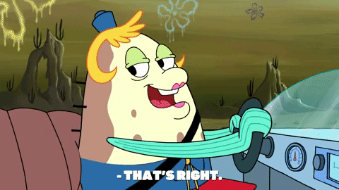 season 9 little yellow book GIF by SpongeBob SquarePants